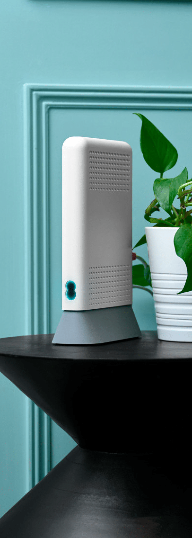 Fibredog illustration showing a broadband router with wireless signal waves