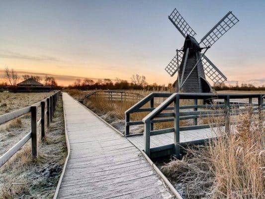 Wicken Fen Reserve Featured ptct9uieua3vqzaqpbrmwby1q1ivrc54jsr0sdmo00